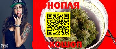 индика Гусев
