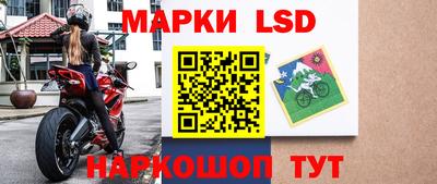 индика Гусев