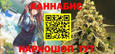 индика Гусев
