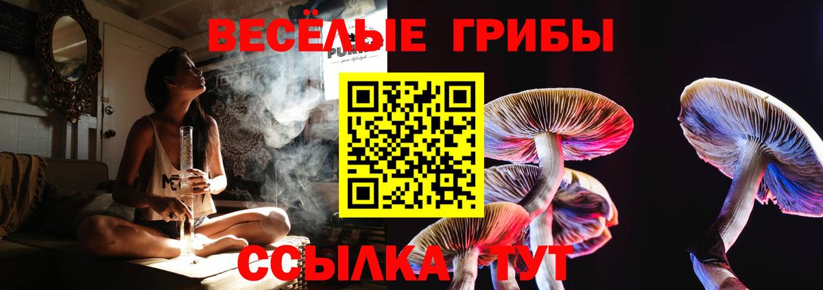 Димитровград  Галлюциногенные грибы мухоморы  Вход с VPN  Псилоцибиновые грибы Cubensis 