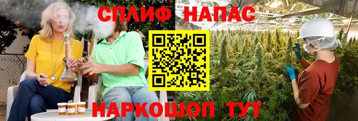 Бошки Шишки тримм  МАРИХУАНА гибрид  Вход с VPN  Димитровград  Бошки марихуана OG Kush  Бошки марихуана конопля 